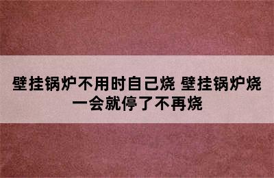 壁挂锅炉不用时自己烧 壁挂锅炉烧一会就停了不再烧